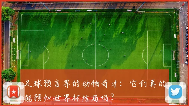 足球预言界的动物奇才：它们真的能预知世界杯结局吗？